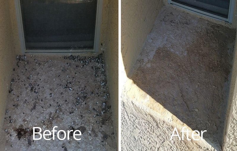 Before & After Blasting Away Bird Droppings